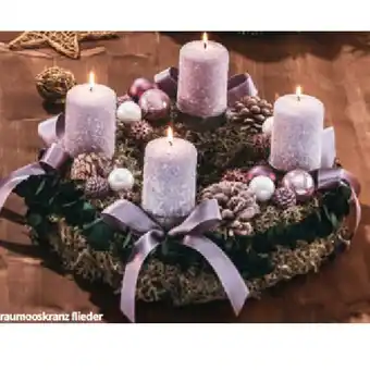 Hofer Graumooskranz flieder HOFER Angebot