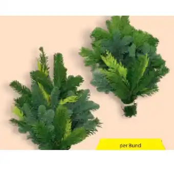 Hofer Reisig-Handbund HOFER Angebot