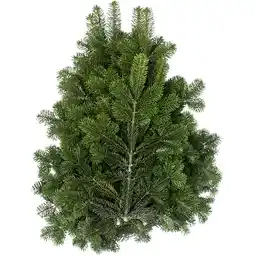 Metro Nordmanntannen Zweige 1- od. 3kg, Preisangabe ohne MwSt. (Preis inkl. MwSt. 5,64 €), METRO Angebot