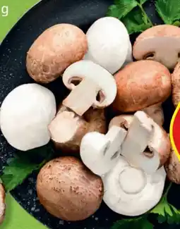 Hofer Hofer Marktplatz Champignons Angebot