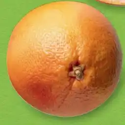 Hofer Hofer Marktplatz Bio-Grapefruits Angebot