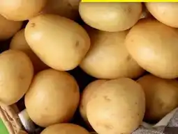 Hofer Zurück zum Ursprung Bio-Kartoffeln Angebot