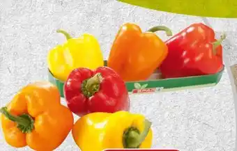 Spar Spar Paprika-Mix Angebot