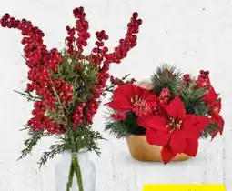 Hofer Home Creation Künstliche Weihnachtspflanzen Angebot