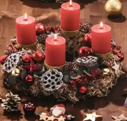 Hofer Graumooskranz rubin Angebot