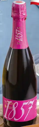 Hofer Kattus 1857 Sekt Angebot