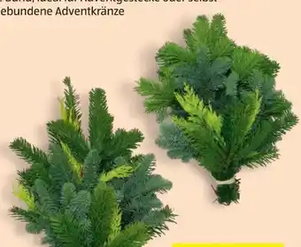 Hofer Reisig-Handbunde Angebot