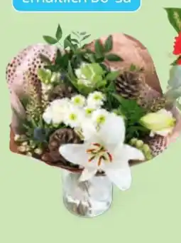 Hofer Blumengruss Weihnachtszauber Angebot