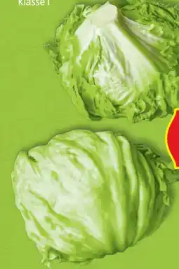 Hofer Hofer Marktplatz Eisbergsalat Angebot