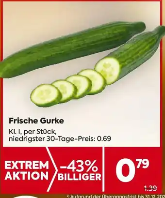 Frische gurke
