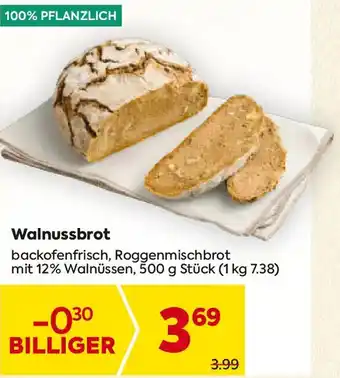 Billa Walnussbrot Angebot