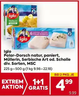 Billa Iglo Polar-Dorsch natur, paniert, Müllerin, Serbische Art od. Scholle Angebot