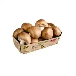 Billa Tiroler Bio-Cremechampignons BILLA Angebot