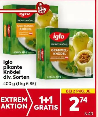 Iglo pikante Knödel