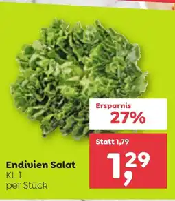 ADEG Endivien Salat Angebot