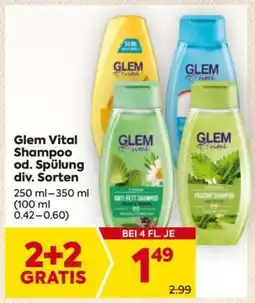 Billa Glem Vital Shampoo od. Spülung div. Sorten Angebot