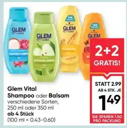 Maximarkt Glem Vital Shampoo oder Balsam Angebot