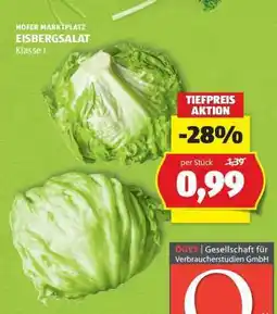 Hofer EISBERGSALAT Angebot