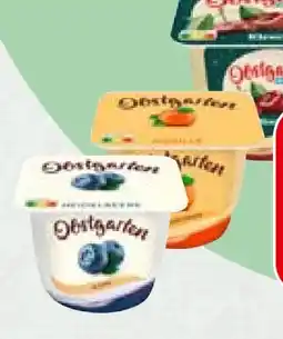 Spar Danone Obstgarten Angebot