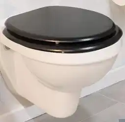 Woolworth Toilettensitz Angebot