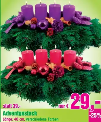 Blumen B&B Adventgesteck Angebot