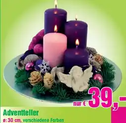 Blumen B&B Adventteller Angebot