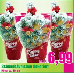 Blumen B&B Schneebäumchen dekoriert Angebot