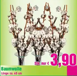 Blumen B&B Baumwolle Angebot