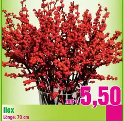 Blumen B&B llex Angebot