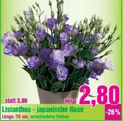 Blumen B&B Lisianthus - japanische Rose Angebot