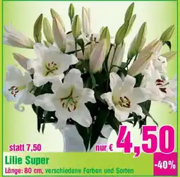 Blumen B&B Lilie Super Angebot