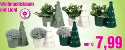Blumen B&B Weihnachtsbaum mit Licht Angebot