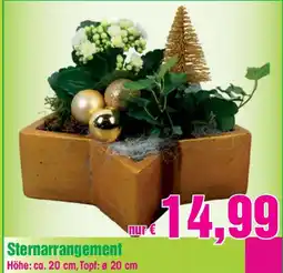 Blumen B&B Sternarrangement Angebot