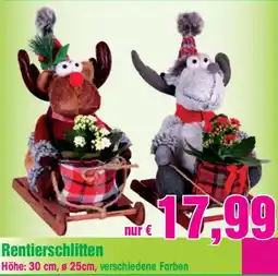 Blumen B&B Rentierschlitten Angebot