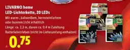 Lidl Livarno home led lichterkette Angebot