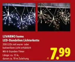 Lidl Livarno home led dandelion lichterkette Angebot