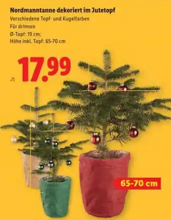 Lidl Nordmanntanne dekoriert im Jutetopf Angebot