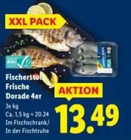 Lidl Fischersto Frische Dorade Angebot