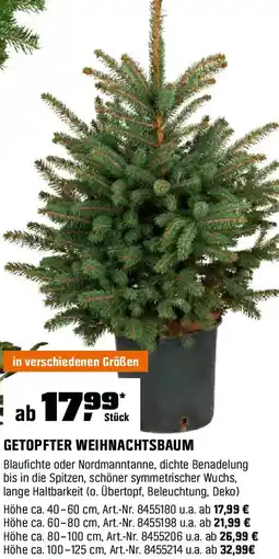 OBI Getopfter weihnachtsbaum Angebot