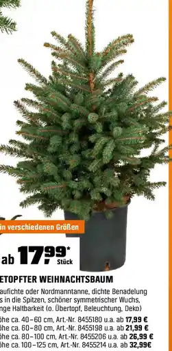 OBI Getopfter weihnachtsbaum Angebot