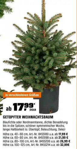 OBI Getopfter weihnachtsbaum Angebot