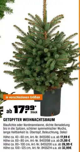 OBI Getopfter weihnachtsbaum Angebot