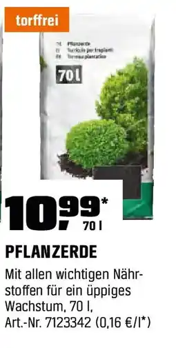OBI Pflanzerde Angebot