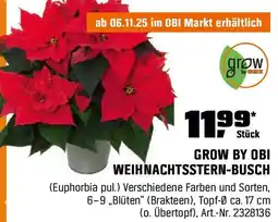 OBI Grow by obi weihnachtsstern-busch Angebot