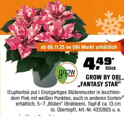 OBI Grow by obl fantasy star Angebot