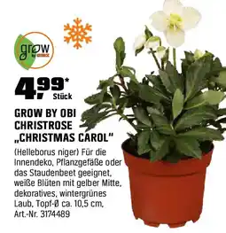 OBI Grow by obi christrose christmas carol Angebot