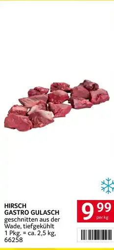 Transgourmet Hirsch gastro gulasch Angebot