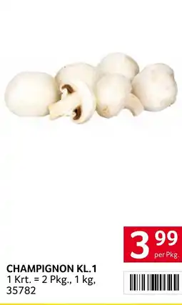 Transgourmet Champignon kl.1 Angebot