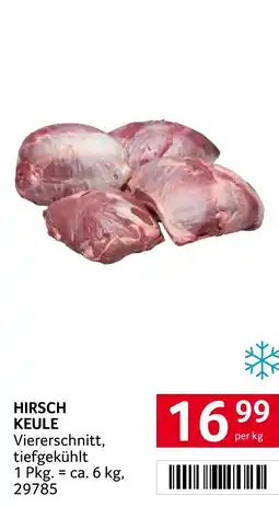 Transgourmet Hirsch keule Angebot