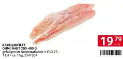 Transgourmet Kabeljaufilet ohne haut Angebot